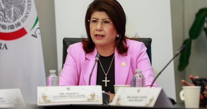 LA SALUD DE CADA MEXICANO ES PRIORIDAD; ES NUESTRA EXIGENCIA COMO SENADORES: MARIELA GUTIÉRREZ