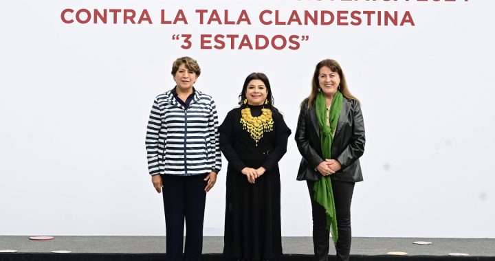 Lidera Gobernadora Delfina Gómez estrategia contra la tala ilegal de árboles en alianza con Morelos y CDMX