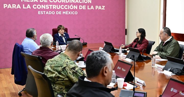 Acción perrona: Rescata la Gobernadora Delfina Gómez Álvarez a 44 lomitos y michis maltratados por sus dueños