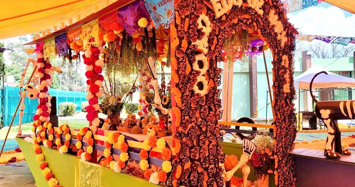 Obtiene ofrenda del CSS Chalco tercer lugar nacional en concurso de Altares y Ofrendas de Día de Muertos IMSS