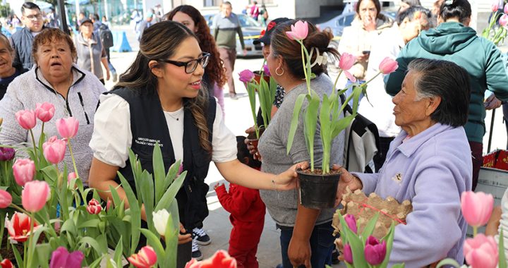 REGALA HUIXQUILUCAN MÁS DE MIL PLANTAS PARA FOMENTAR CUIDADO DEL MEDIO AMBIENTE