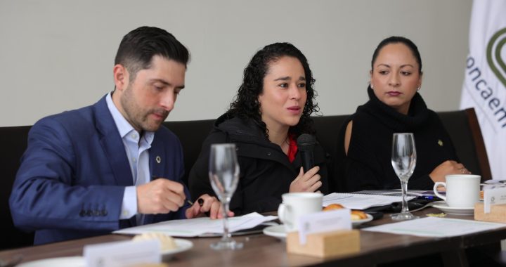 HABRÁ CONDICIONES PARA VOTAR EL 1 DE JUNIO: CONSEJERA PRESIDENTA DEL IEEM