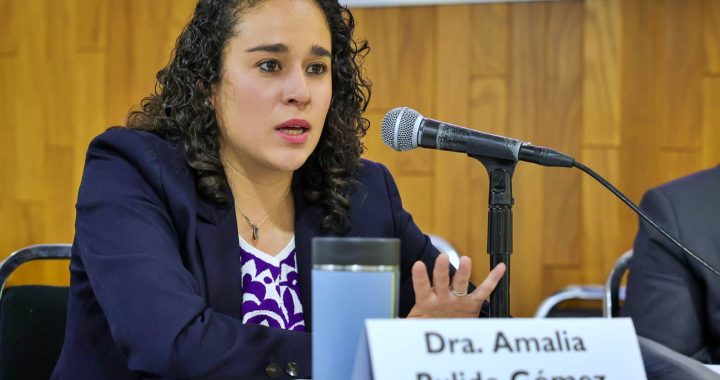 PULIDO Y FREIDENBERG ANALIZAN DEMOCRACIA EN AMÉRICA LATINA