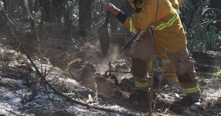 PREVIENE HUIXQUILUCAN INCENDIOS FORESTALES CON BRECHAS CORTAFUEGO