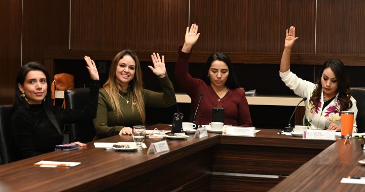 Aprueba comisión legislativa terna para elegir a titular de la Codhem
