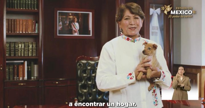Con brigadas y el Atlas de Riesgo, el Gobierno de la Maestra Delfina Gómez reduce los incendios forestales en el EdoMéx