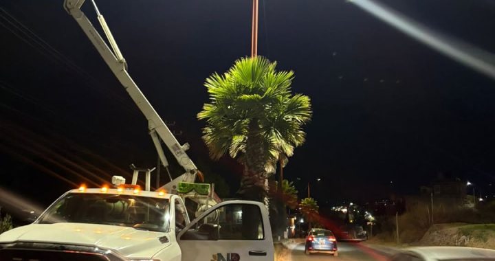 MÁS LUZ, MÁS SEGURIDAD: NICOLÁS ROMERO INSTALA Y RECONECTA MÁS DE 250 LUMINARIAS EN VIALIDADES PRINCIPALES