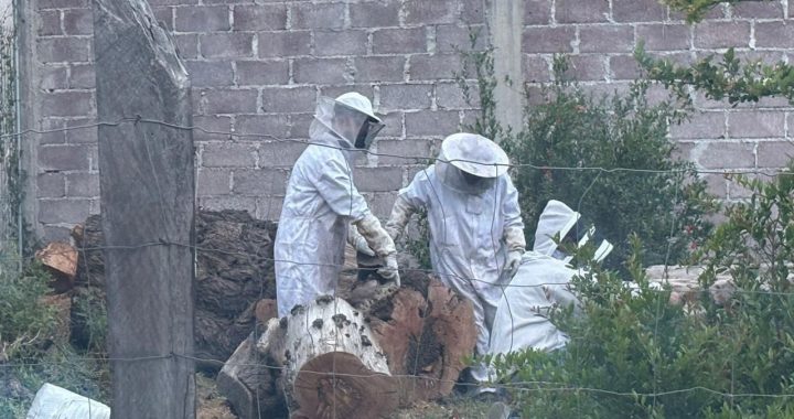 El gobierno que encabeza la presidenta municipal Wong Romero refrenda así el compromiso de brindar una sana calidad de vida para la ciudadanía