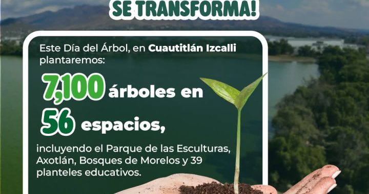 Nuestra Casa entre los Árboles sigue creciendo y transformándose!