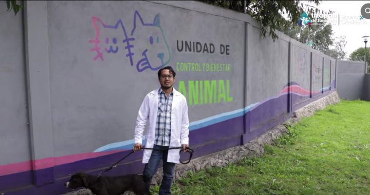 EN LA UNIDAD DE CONTROL Y BIENESTAR ANIMAL DE ATIZAPÁN SE LOGRÓ RESCATAR A 44 PERROS Y DAR 29 EN ADOPCIÓN