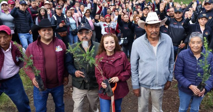 NICOLÁS ROMERO SE SUMA CON MÁS DE 4 MIL ÁRBOLES A JORNADA NACIONAL DE REFORESTACIÓN 2026