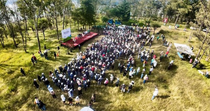 Cuautitlán Izcalli reforesta con 10 mil árboles el Parque Ecológico Pichardo Pagaza